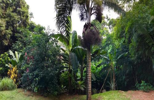 Mahe Island Apartment | La Nature Apartments Au Cap