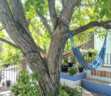 Baena House | La Noguera de Baena