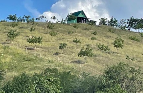 Izvoranu Villa | La Nuci