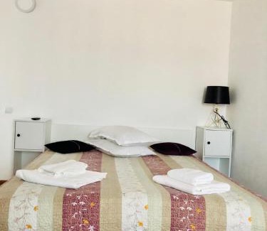 Slatioara House | La Olaru