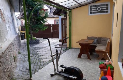 Medias House | La Pablito