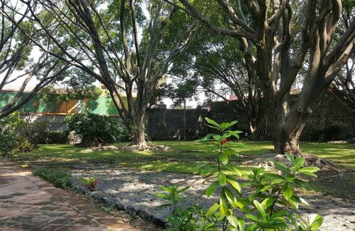 Crucero Tezoyuca House | La Palma, Crucero Tezoyuca (Entire bungalow)