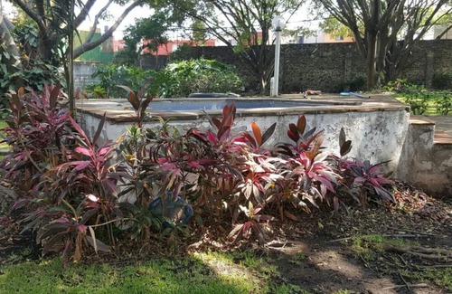 Crucero Tezoyuca House | La Palma, Crucero Tezoyuca (Entire bungalow)