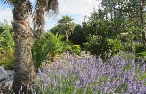 Salles-d'Aude Bed & Breakfast | La palmeraie