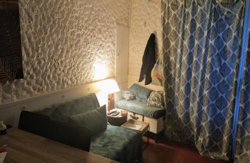 La Palme House | la Palmette , NOUVEAU ! climatisée et wifi