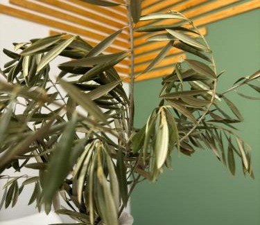 Jaen Apartment | La Pastira, 6