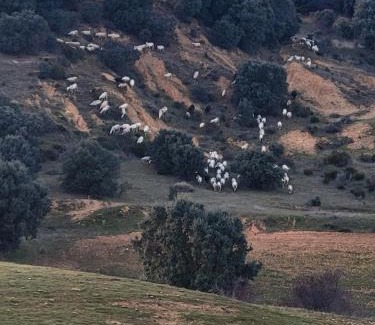 Camarzana de Tera House | La Pedrosa Casa Rural
