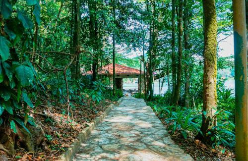 Cerro Azul House | La Perezosa en Cerro Azul - Somos Pet friendly