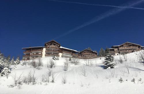 Bisanne 1500 Apartment | La Perle Des Alpes C2