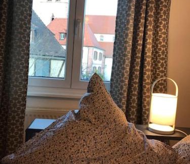 Ammerschwihr Apartment | * La Petite Alsacienne *