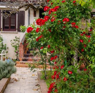 Saint-Benoit-de-Carmaux House | La petite Pierrette