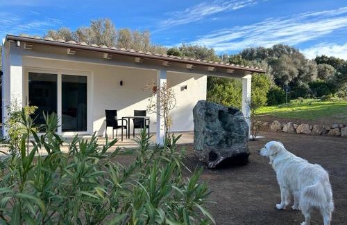 Luogosanto House | LA PIANA Holiday House