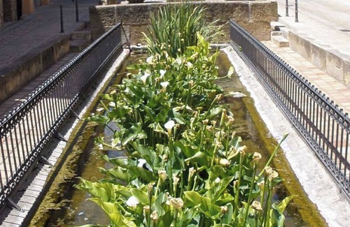 Fuenmayor Condo | La Pilarcita - Historic mansion in the center of Fuenmayor