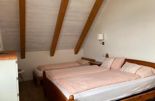 Santa Maria Maggiore Apartment | La Pioda Vigezzo Santa Maria Maggiore Locazione Turistica