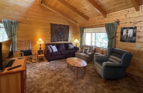 Mancos Cabin | La Plata Mountains Cabin - Nestled in the Pines - Mesa Verde