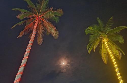 Tecolutla House | la Playita