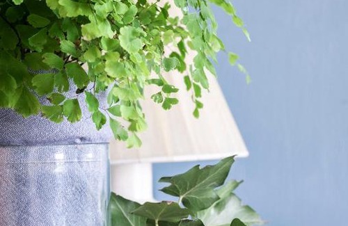 San Vito di Leguzzano Bed & Breakfast | La Porta Accanto B&B