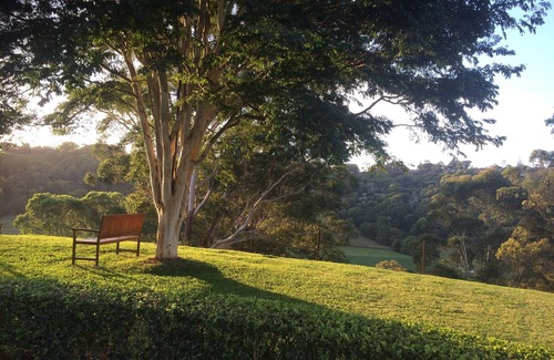 Terranora Cottage | La Provence Cottage near Coolangatta and Byron Bay