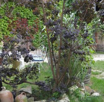 Le Noyer Bed & Breakfast | LA PROVIDENCE