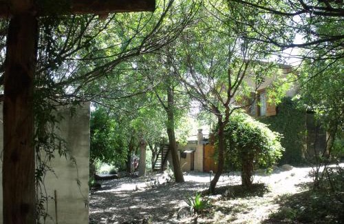 San Javier House | La Quebradita