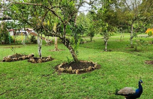San Isidro Bed & Breakfast | La Quinta de Andrés