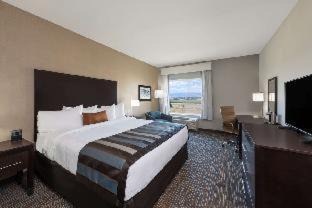 Holbrook Hotel | La Quinta Inn & Suites by Wyndham Holbrook Petrified Forest