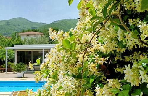 Marano Marchesato Bed & Breakfast | La Residenza del Marchesato