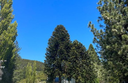 La Bolsa House | La Rinconada Ranch