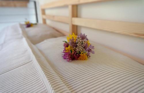 Cesiomaggiore Apartment | La Risorta