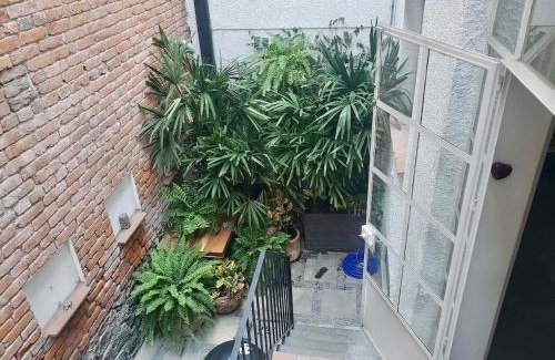 Roma Norte House | La Roma hidden treasure private 19th Century Suite