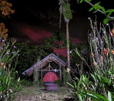Uramba National Park Other | La Salamandra