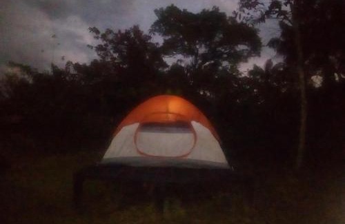 Uramba National Park Other | La Salamandra