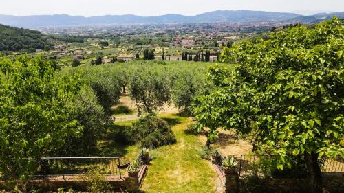 Pistoia Apartment | "La Salvia" - Villa Pacinotti