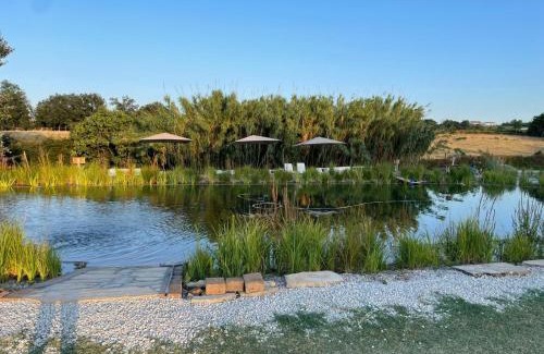 Forli Bed & Breakfast | La Siba Experience