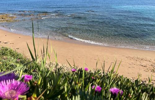 Los Canos de Meca Bed & Breakfast | La Sirena del Viento