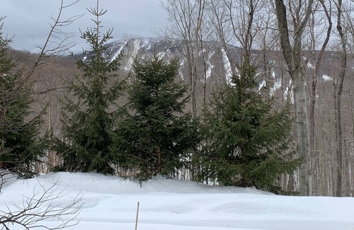 Sutton Ski Chalet | La Stella Alpina/hot tub/mountain view