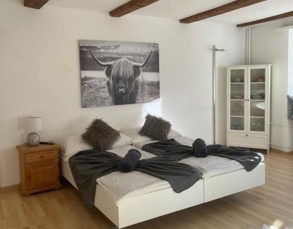 Old Town Apartment | La Suite