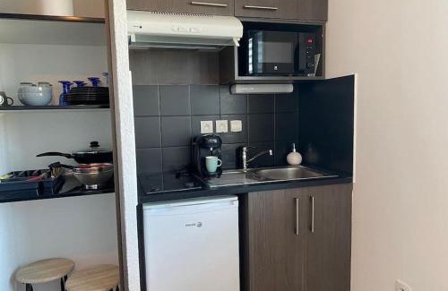 Montaudran - Lespinet Apartment | La Suite Griffon - Parking & Balcon