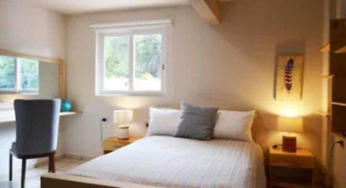 Zona Centro Apartment | La tía Rocío