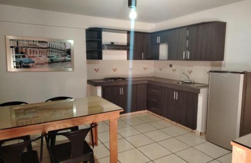 Zona Centro Apartment | La tía Rocío