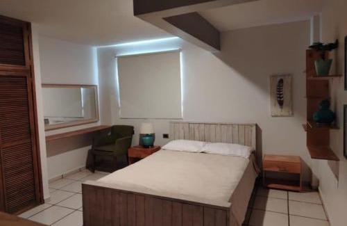 Zona Centro Apartment | La tía Rocío