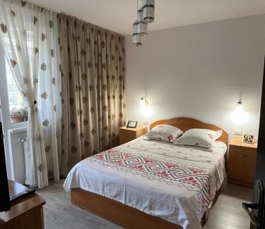 Piatra Neamt Apartment | La TAIA! Clasificat 3 Stele!