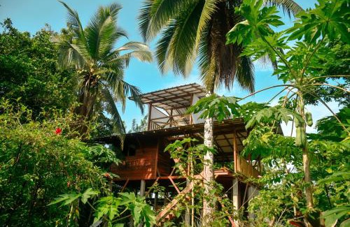 El Valle Bed & Breakfast | La tarima del colibri Ecolodge