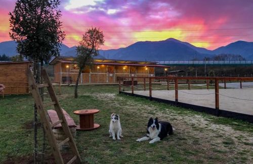 Patrica House | La Tenuta del Campo di Sopra