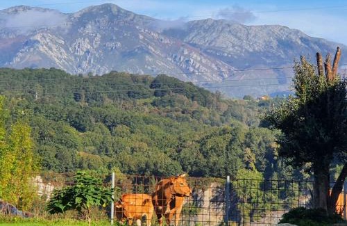 Parres House | La Torre de Llames Arriondas