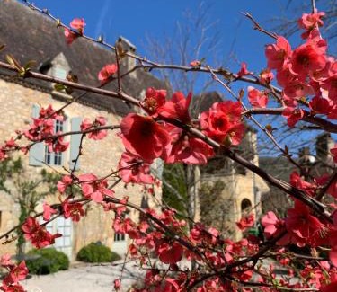 Saint-Cybranet Bed & Breakfast | La Tour de Cause