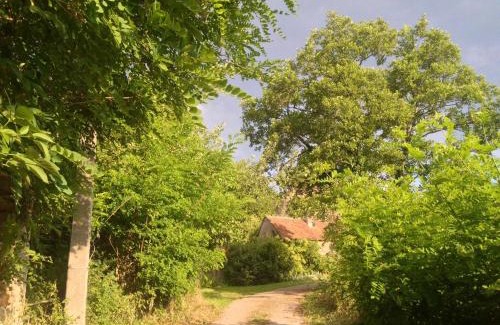 Marcilly-la-Gueurce Bed & Breakfast | La Tour
