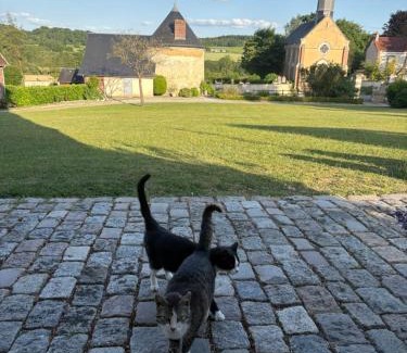 Saint-Agnan-sur-Sarthe House | La Tourelle