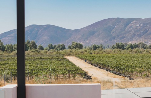 Valle de Guadalupe Cabin | La Vid Urbana - Cabin 1 Sky