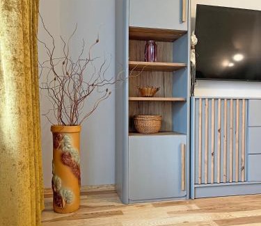 Druskininkai Apartment | La Vida apartment